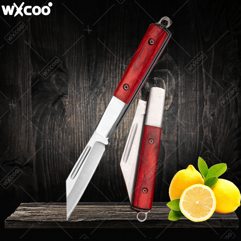 Kitchen Gadgets Pakistan - Nóż składany ze stali nierdzewnej z