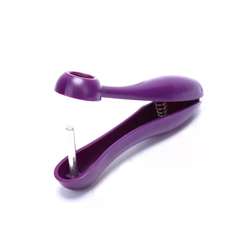 Łatwy w użyciu wyciskacz peste – Kitchen Gadgets Xmas recenzja i cena