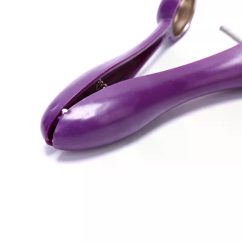 Łatwy w użyciu wyciskacz peste – Kitchen Gadgets Xmas recenzja i cena