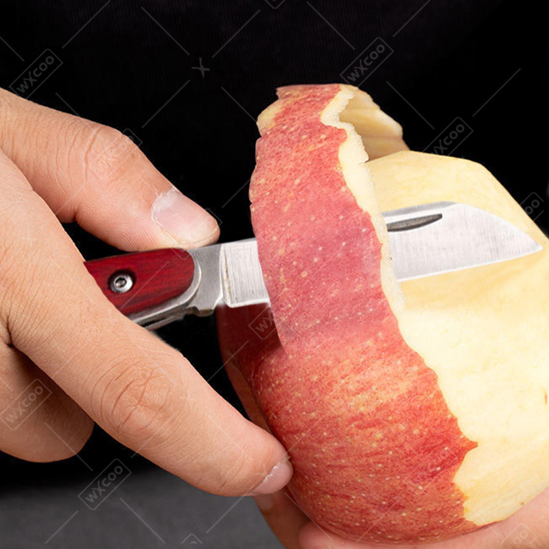 Nóż składany ze stali nierdzew – Kitchen Gadgets Pakistan recenzja i cena
